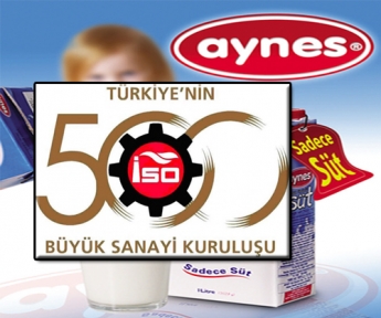 İSO 500’DE “AYNES“ YÜKSELİŞİ