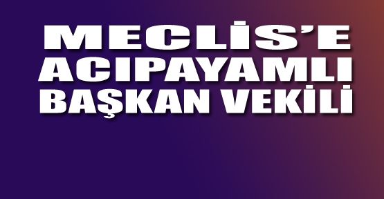 MECLİSE ACIPAYAM'LI BAŞKAN VEKİLİ