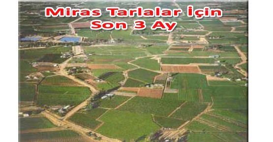 MİRAS TARLALAR İÇİN SON 3 AY