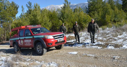 Ormanlarda “yılbaşı nöbeti” başladı