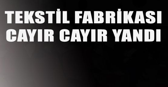 TEKSTİL FABRİKASINDA YANGIN