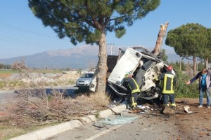 Refüjdeki ağacı devirdi, hurdaya dönen kamyonetten yaralı kurtuldu