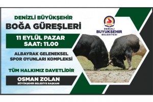 Boğa güreşi heyecanı Denizli’de Büyükşehir Yörük geleneğine sahip çıkıyor Türkiye’nin en güçlü boğaları Denizli’de Başkan Zolan’dan boğa güreşlerine davet