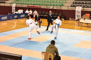 Okul sporları karate müsabakaları tamamlanıyor