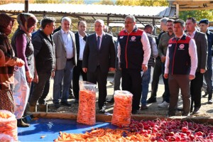 Lezzetiyle meşhur Çakır havucunda hasat başladı