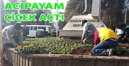 ACIPAYAM ÇİÇEK AÇTI