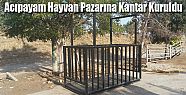 ACIPAYAM CANLI HAYVAN PAZARINA KANTAR KURULDU