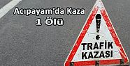 ACIPAYAM'DA TRAFİK KAZASI: 1 ÖLÜ