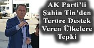 AK PARTİLİ TİN’DEN TERÖRE DESTEK VEREN ÜLKELERE TEPKİ