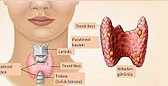 Büyükşehir'den "Tiroit Hastalığı Semineri"ne davet